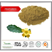 Pure Damiana Extract powder, Damiana Leaf P.E. for sexual health